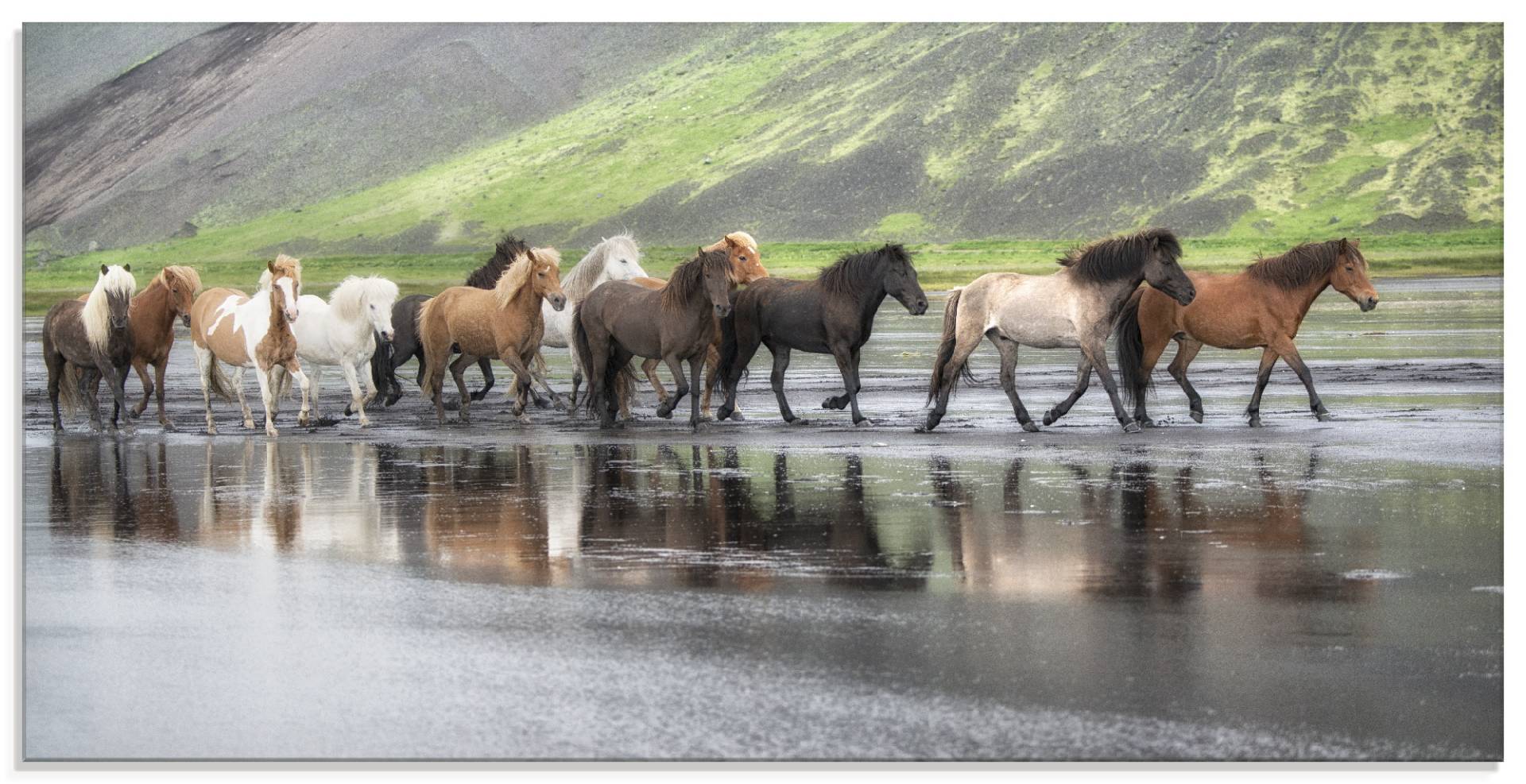 Artland Glasbild »Isländische Pferde XIV«, Haustiere, (1 St.) von Artland