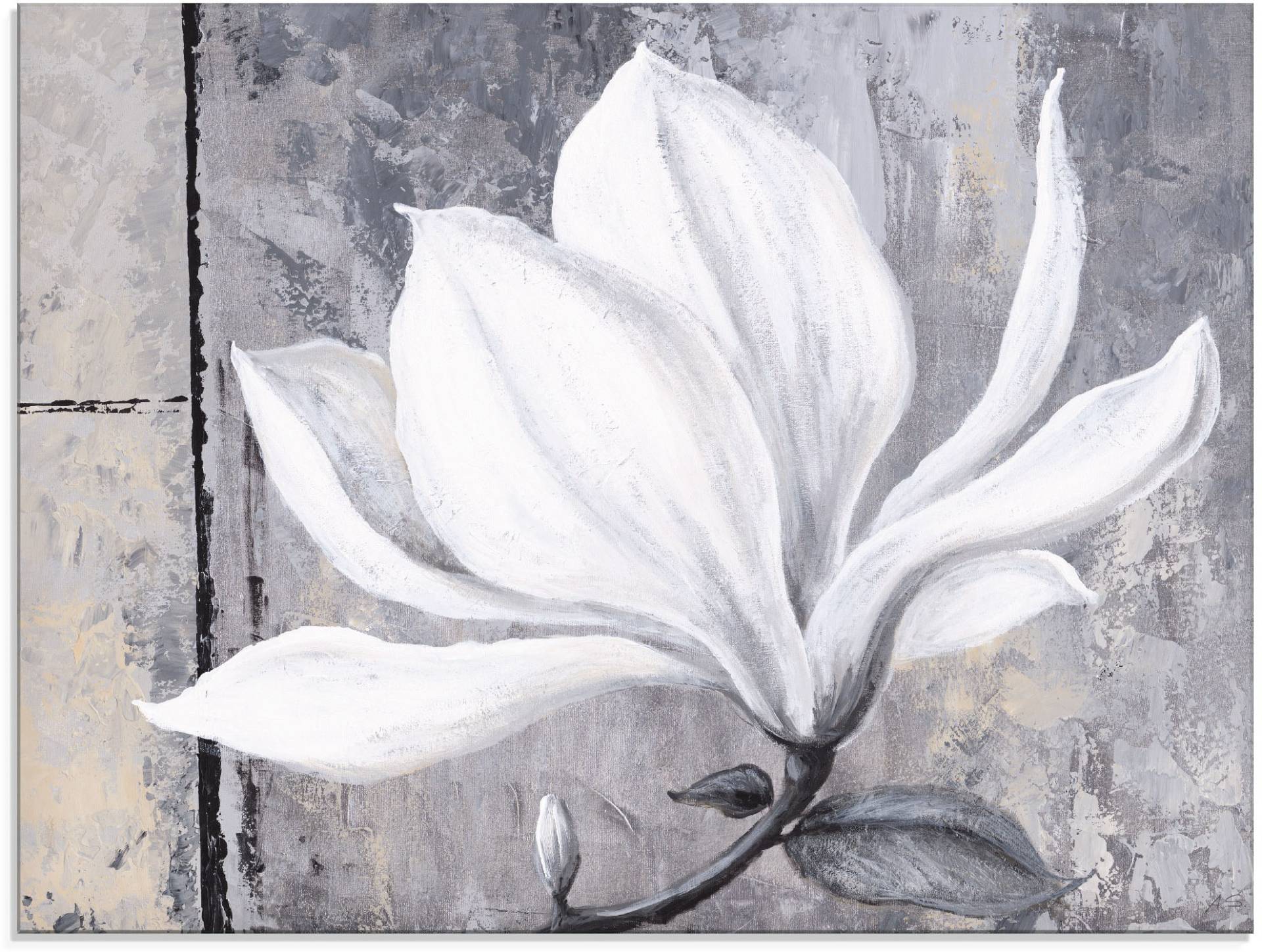 Artland Glasbild »Klassische Magnolie«, Blumen, (1 St.) von Artland