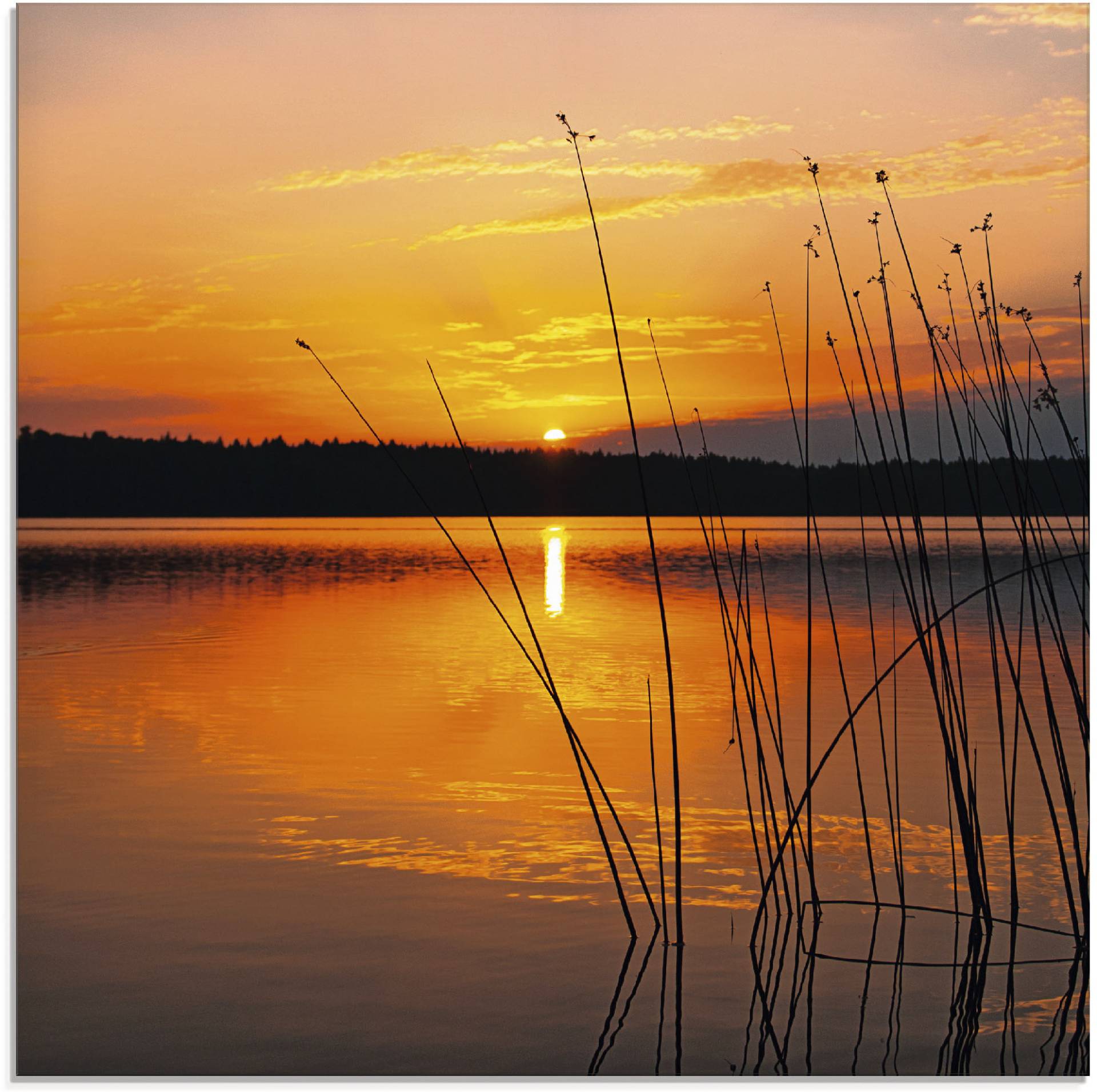 Artland Glasbild »Landschaft mit Sonnenaufgang«, Sonnenaufgang & -untergang, (1 St.) von Artland