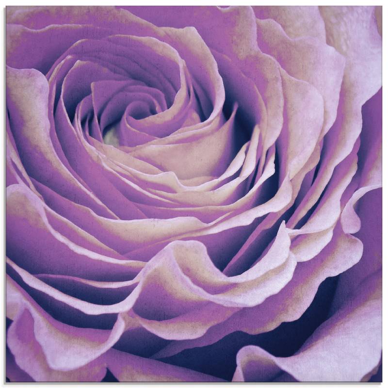 Artland Glasbild »Lila Rose«, Blumen, (1 St.) von Artland