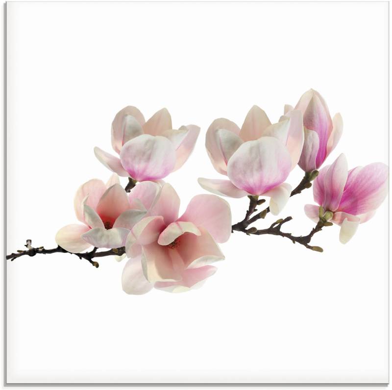 Artland Glasbild »Magnolie«, Blumen, (1 St.) von Artland
