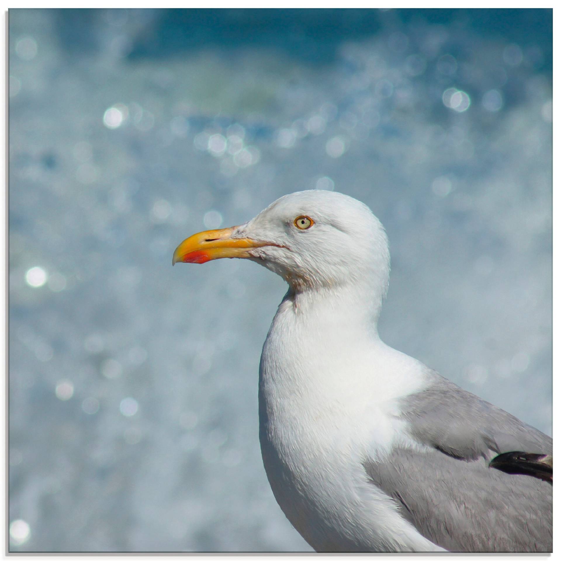 Artland Glasbild »Möwe an der Nordseeküste«, Vögel, (1 St.) von Artland