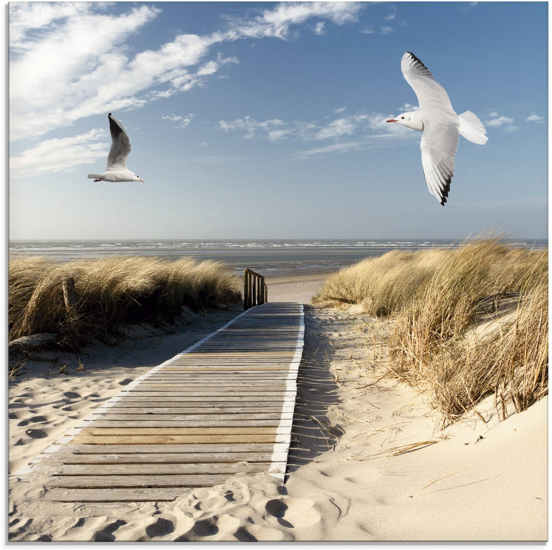 Artland Glasbild »Nordseestrand auf Langeoog mit Möwen«, Strand, (1 St.) von Artland