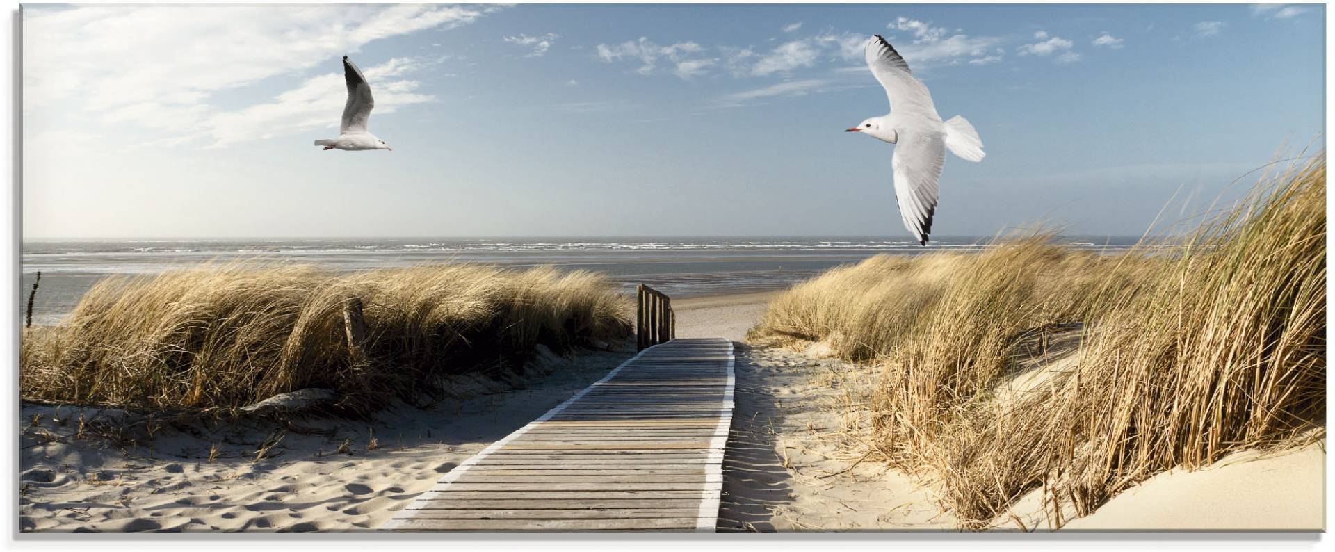 Artland Glasbild »Nordseestrand auf Langeoog mit Möwen«, Strand, (1 St.), in verschiedenen Grössen von Artland