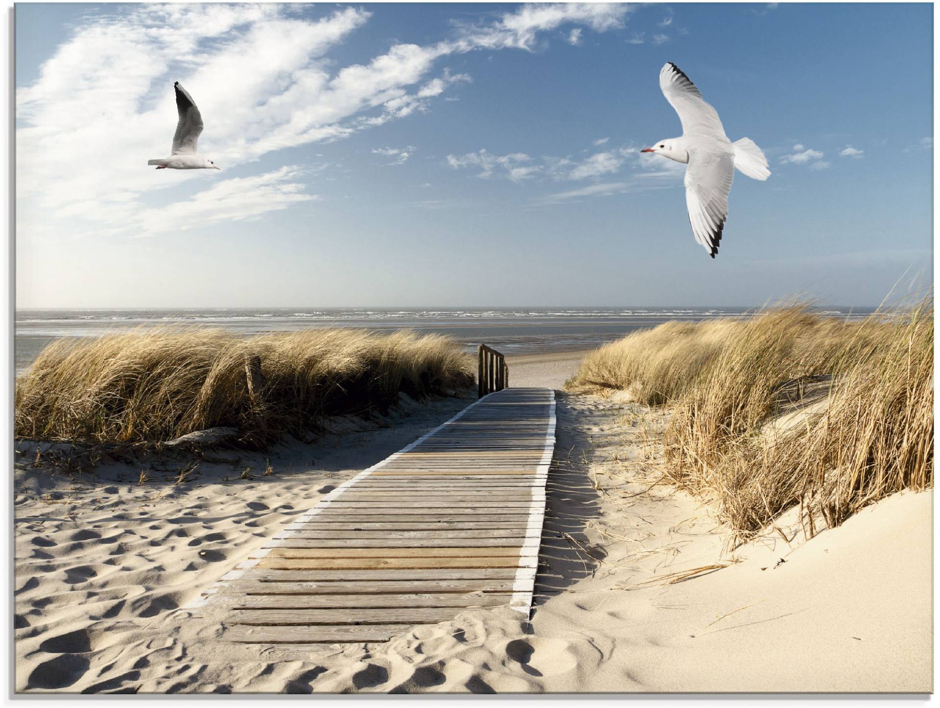 Artland Glasbild »Nordseestrand auf Langeoog mit Möwen«, Strand, (1 St.) von Artland