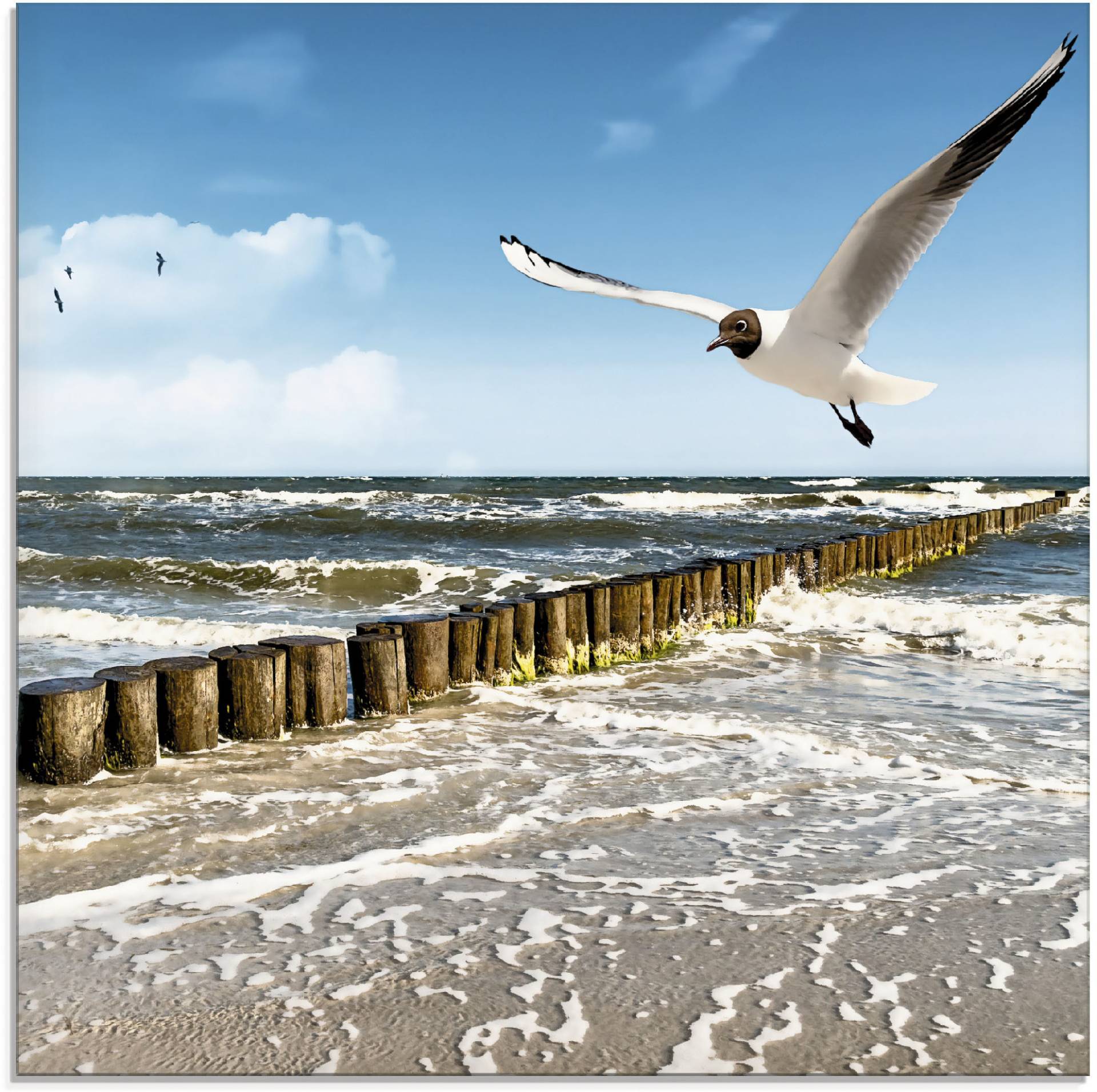 Artland Glasbild »Ostsee«, Gewässer, (1 St.), in verschiedenen Grössen Artland Glasbild »Ostsee«, Gewässer, (1 St.), in verschiedenen Grössen von Artland