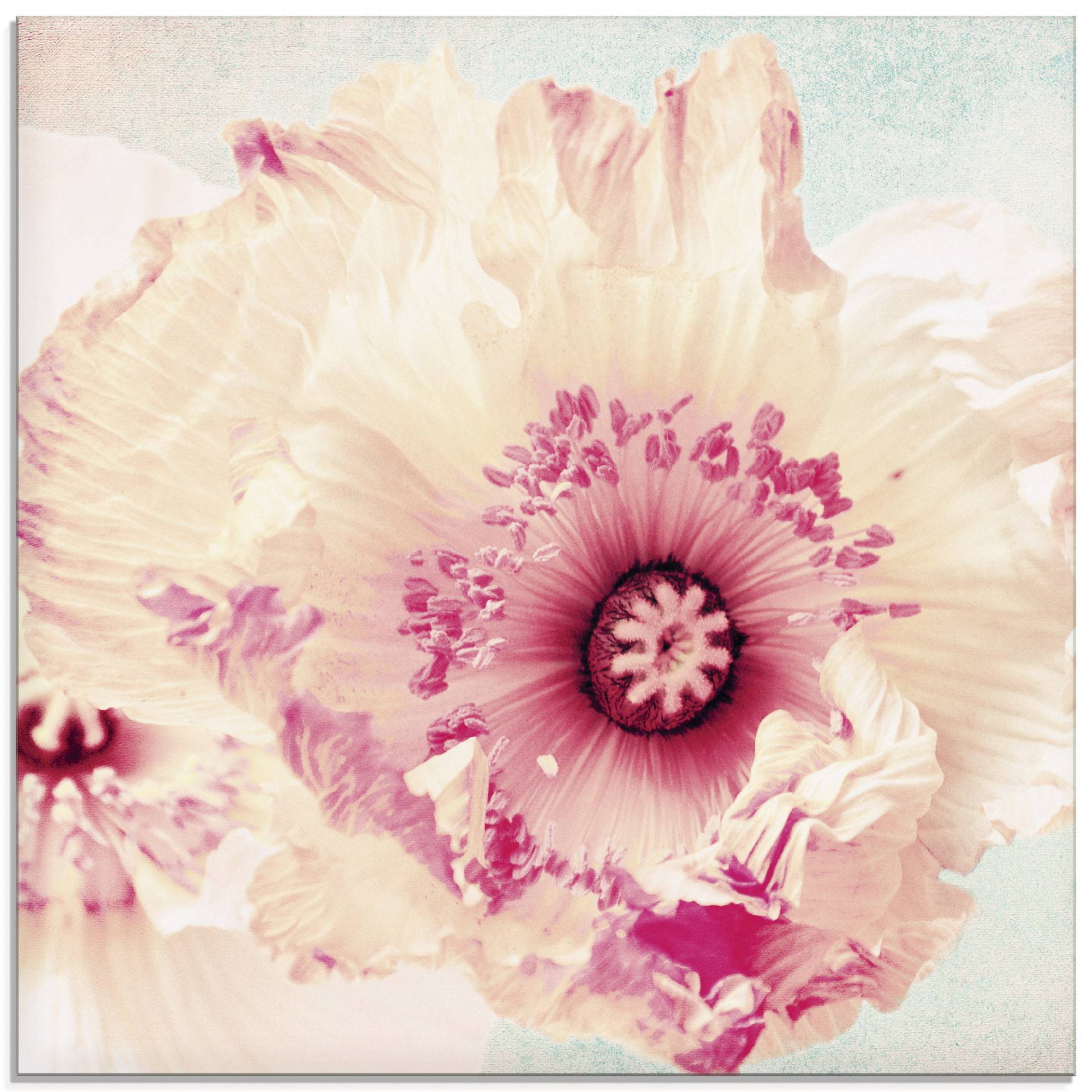 Artland Glasbild »Pastell Mohn«, Blumen, (1 St.) von Artland