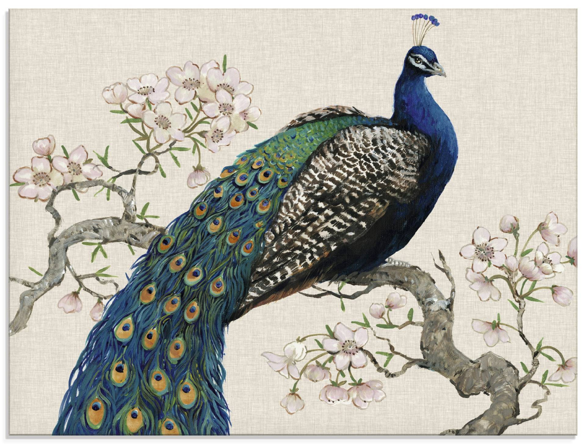 Artland Glasbild »Pfau & Blüten I«, Vögel, (1 St.) von Artland