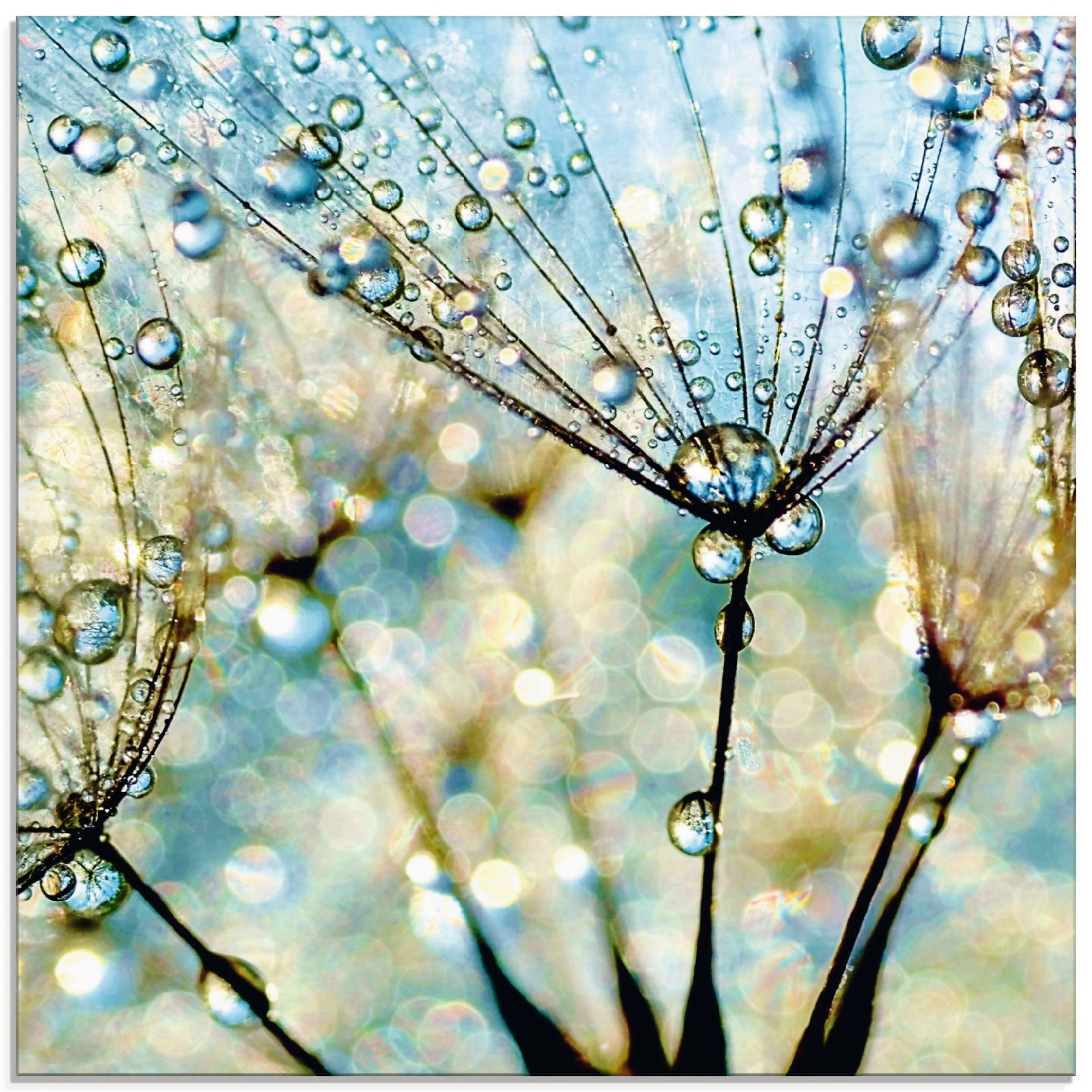 Artland Glasbild »Pusteblume Blaue Diamanten«, Blumen, (1 St.), in verschiedenen Grössen Artland Glasbild »Pusteblume Blaue Diamanten«, Blumen, (1 St.), in verschiedenen Grössen von Artland