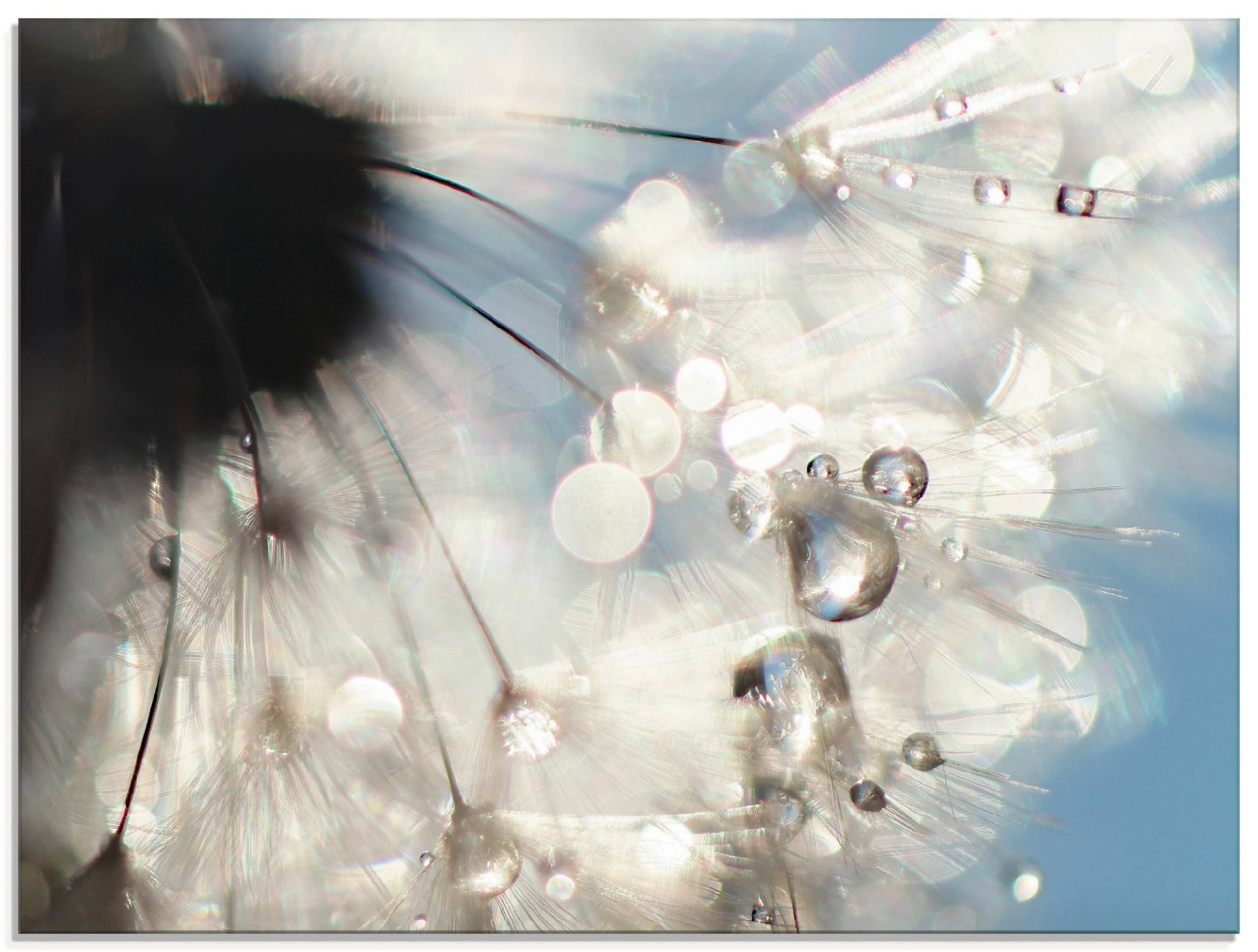 Artland Glasbild »Pusteblume Engelflügel«, Blumen, (1 St.) von Artland