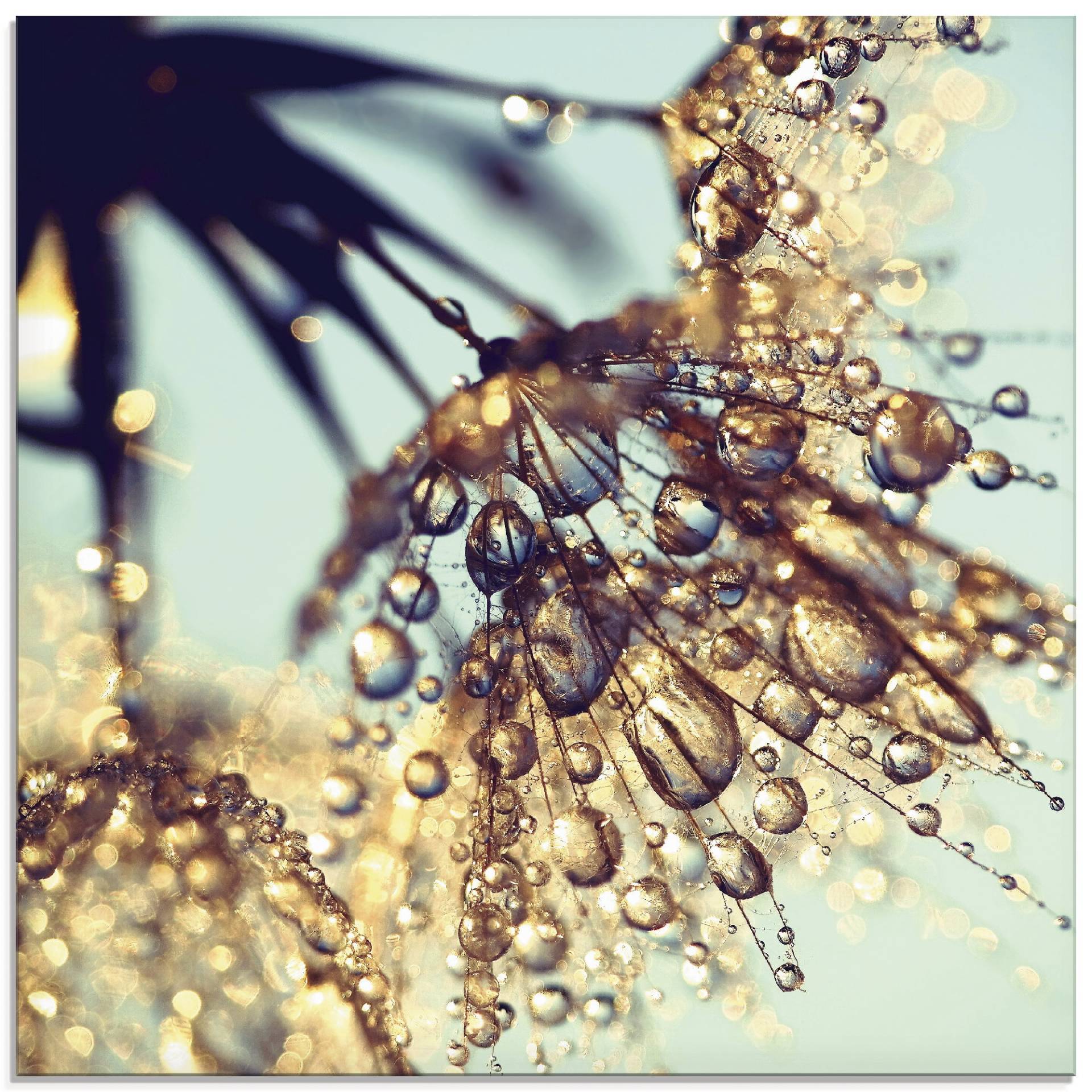 Artland Glasbild »Pusteblume Goldener Regen«, Blumen, (1 St.), in verschiedenen Grössen Artland Glasbild »Pusteblume Goldener Regen«, Blumen, (1 St.), in verschiedenen Grössen von Artland