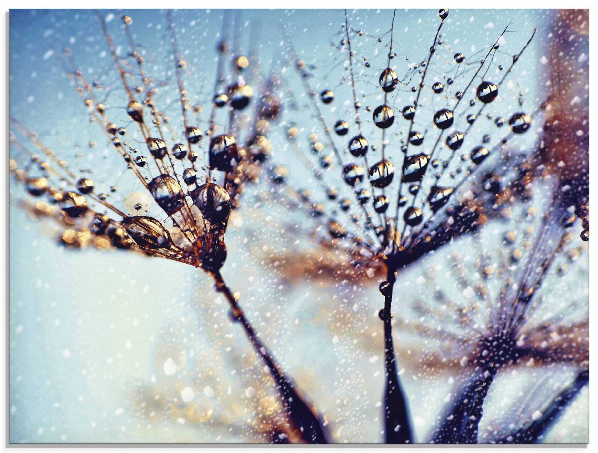 Artland Glasbild »Pusteblume Regen abstrakt«, Blumen, (1 St.), in verschiedenen Grössen von Artland