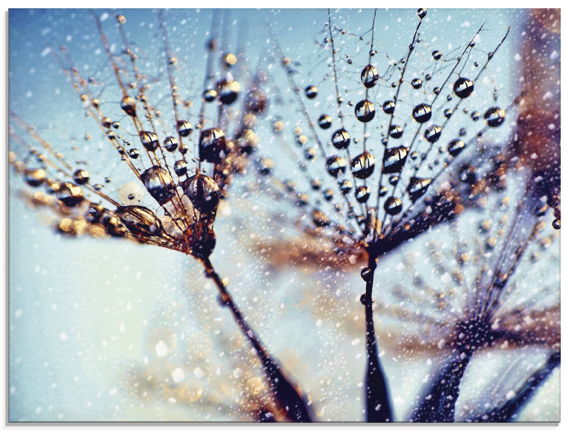 Artland Glasbild »Pusteblume Regen abstrakt«, Blumen, (1 St.) von Artland