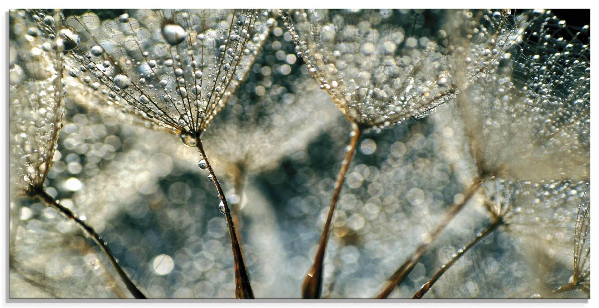 Artland Glasbild »Pusteblume Regenschauer«, Blumen, (1 St.) von Artland