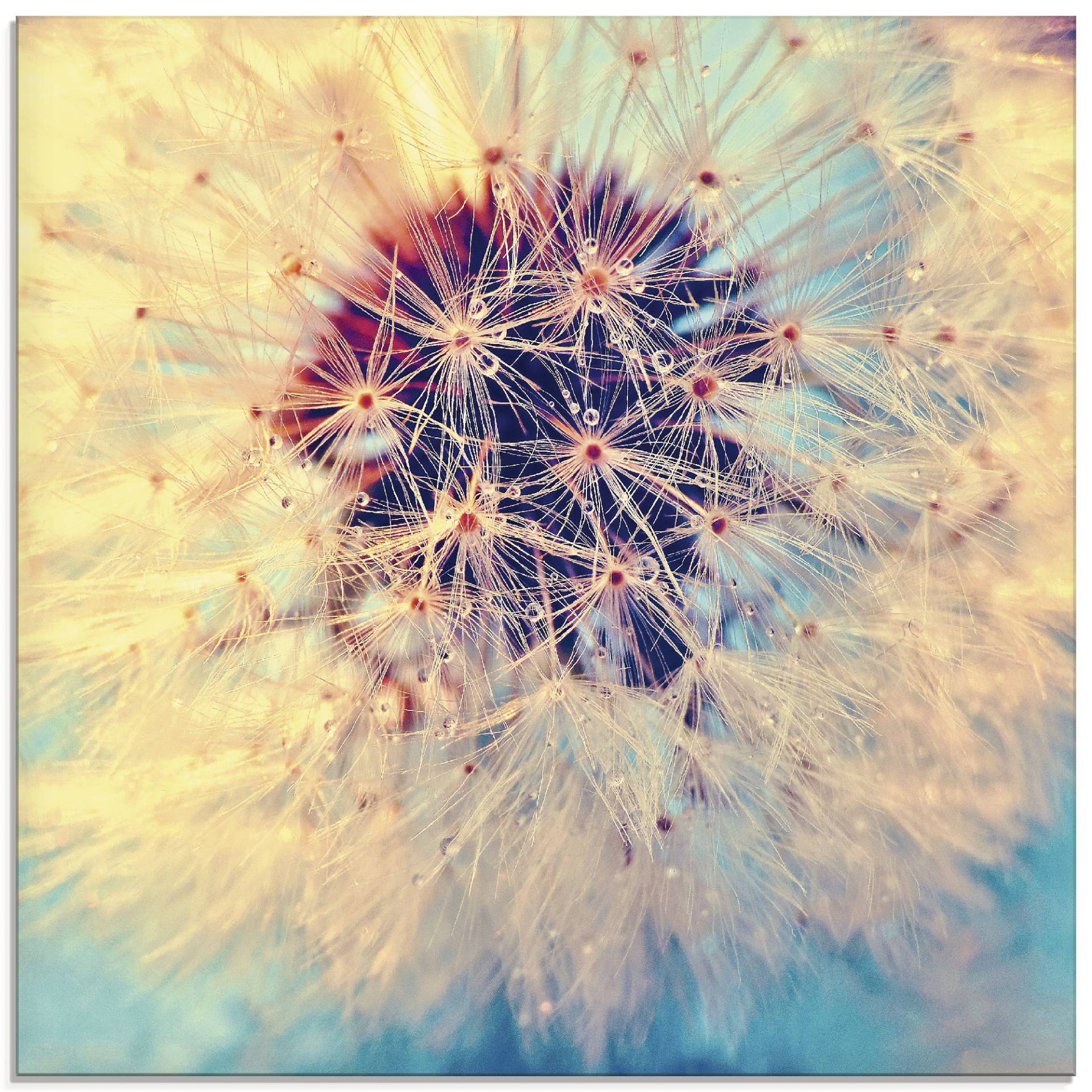 Artland Glasbild »Pusteblume ganz nah«, Blumen, (1 St.), in verschiedenen Grössen Artland Glasbild »Pusteblume ganz nah«, Blumen, (1 St.), in verschiedenen Grössen von Artland