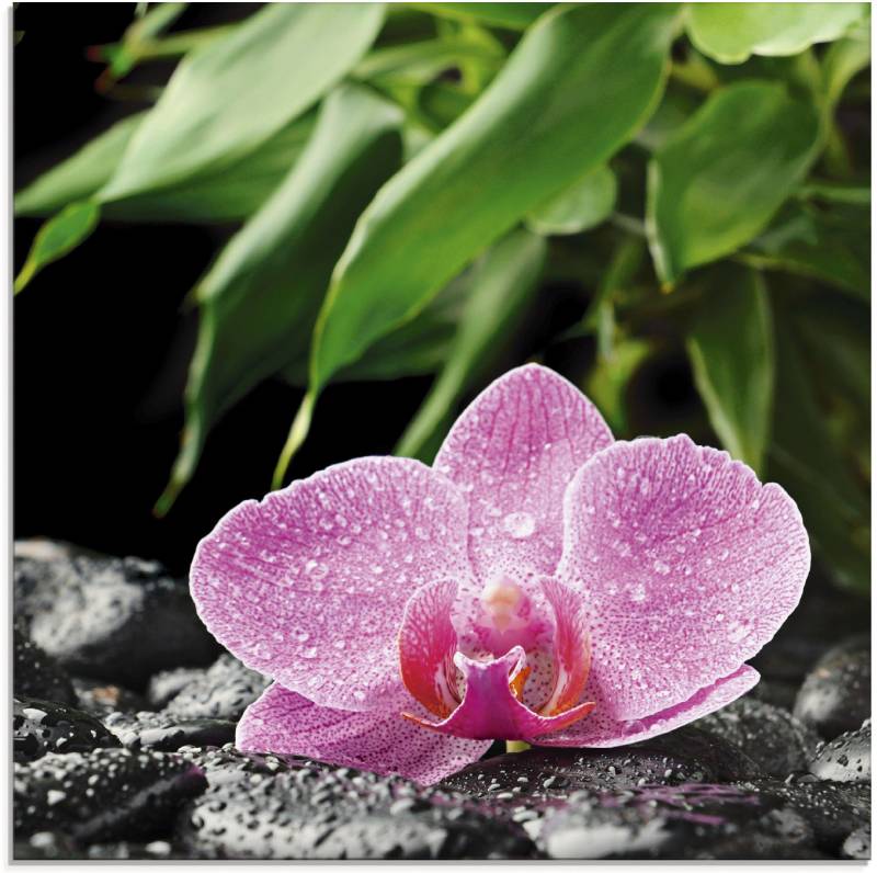 Artland Glasbild »Rosa Orchidee auf schwarzen Zen Steinen«, Blumen, (1 St.) von Artland