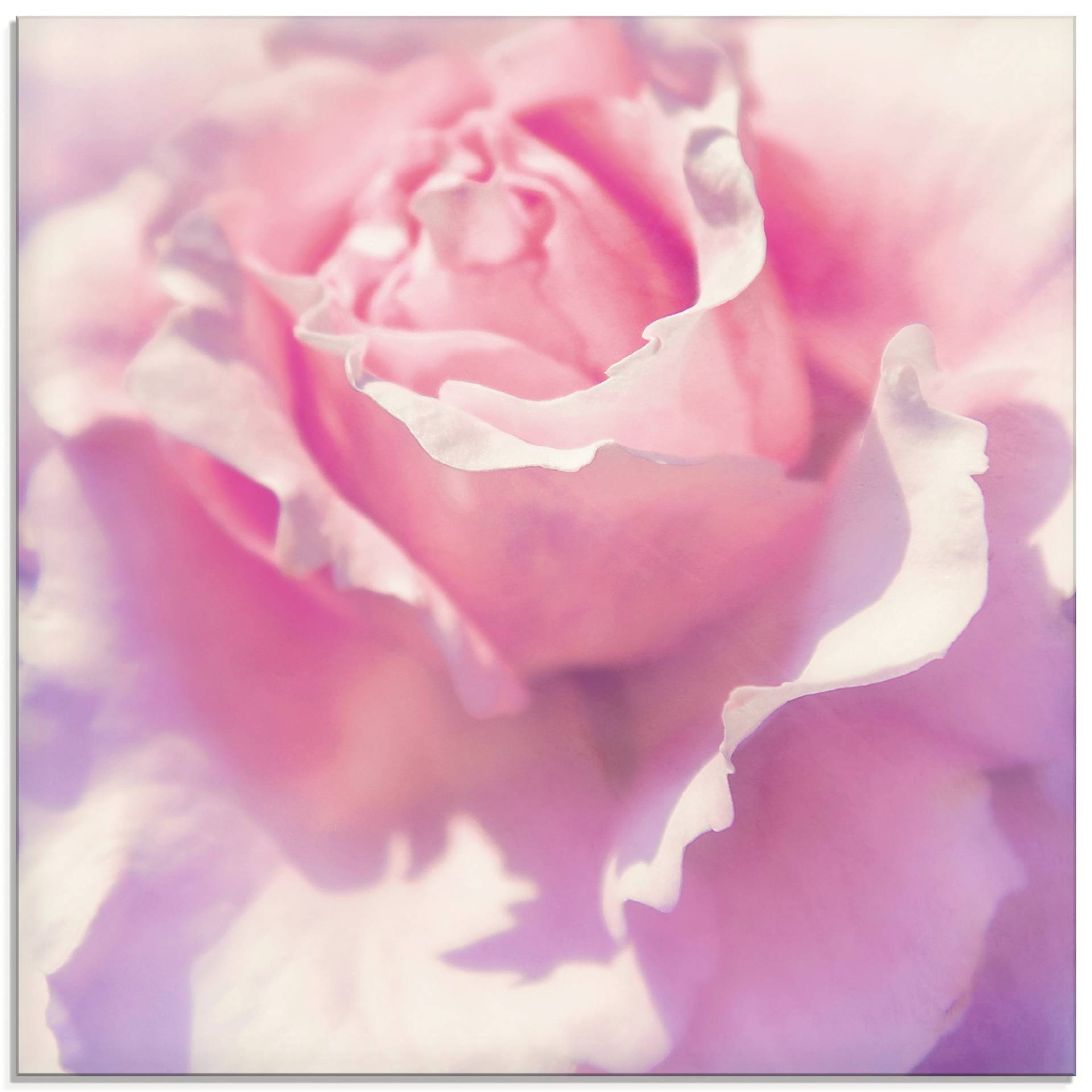 Artland Glasbild »Rosa«, Blumen, (1 St.) von Artland