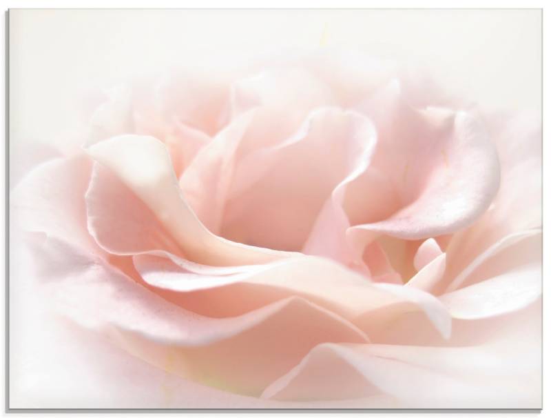 Artland Glasbild »Rose I«, Blumen, (1 St.) von Artland