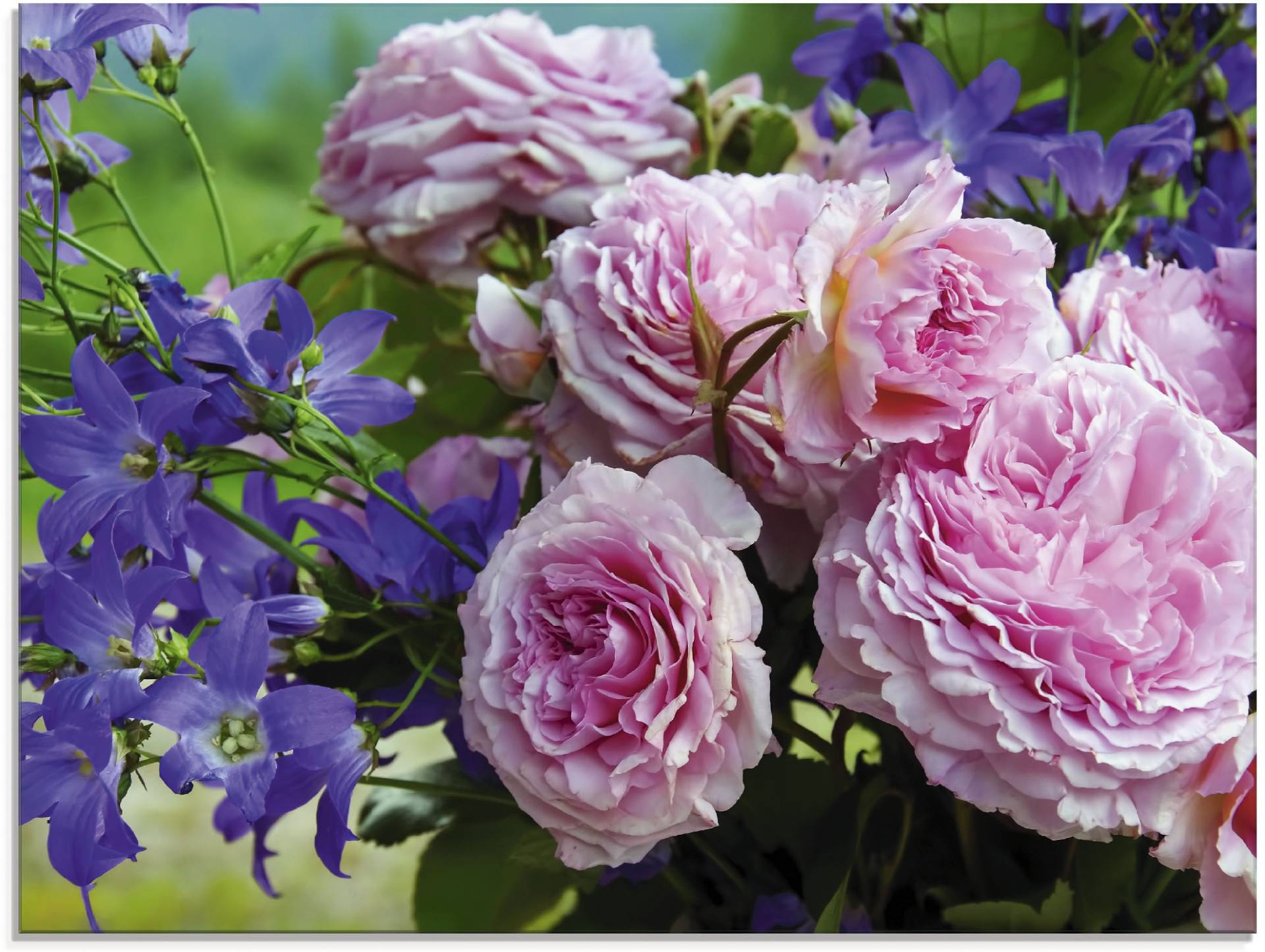 Artland Glasbild »Rosen und Glockenblumen«, Blumen, (1 St.) von Artland