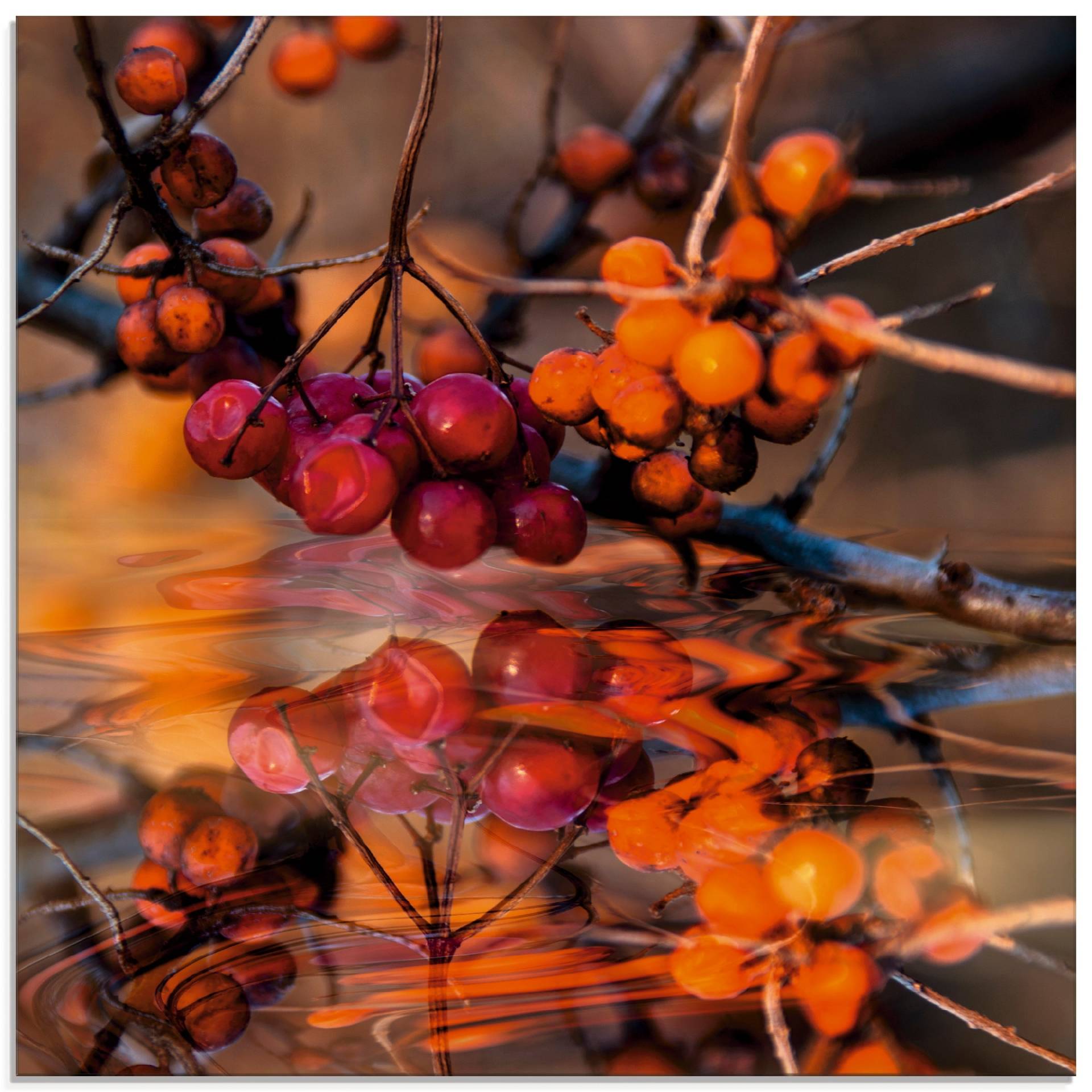 Artland Glasbild »Rote Beeren - Wildbeeren«, Pflanzen, (1 St.) von Artland
