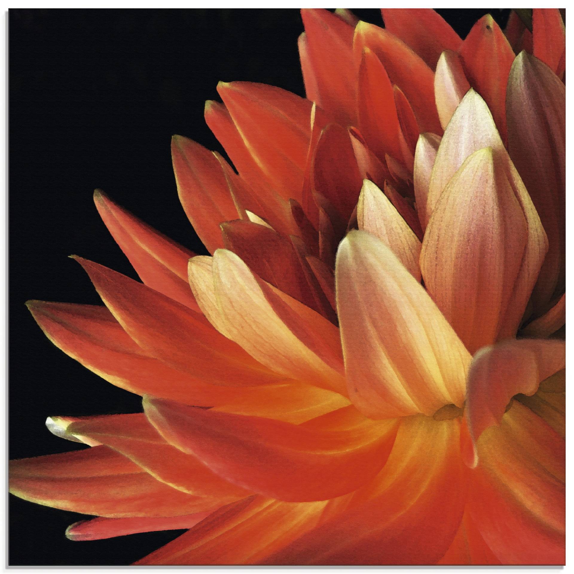 Artland Glasbild »Rote Dahlie«, Blumen, (1 St.) von Artland