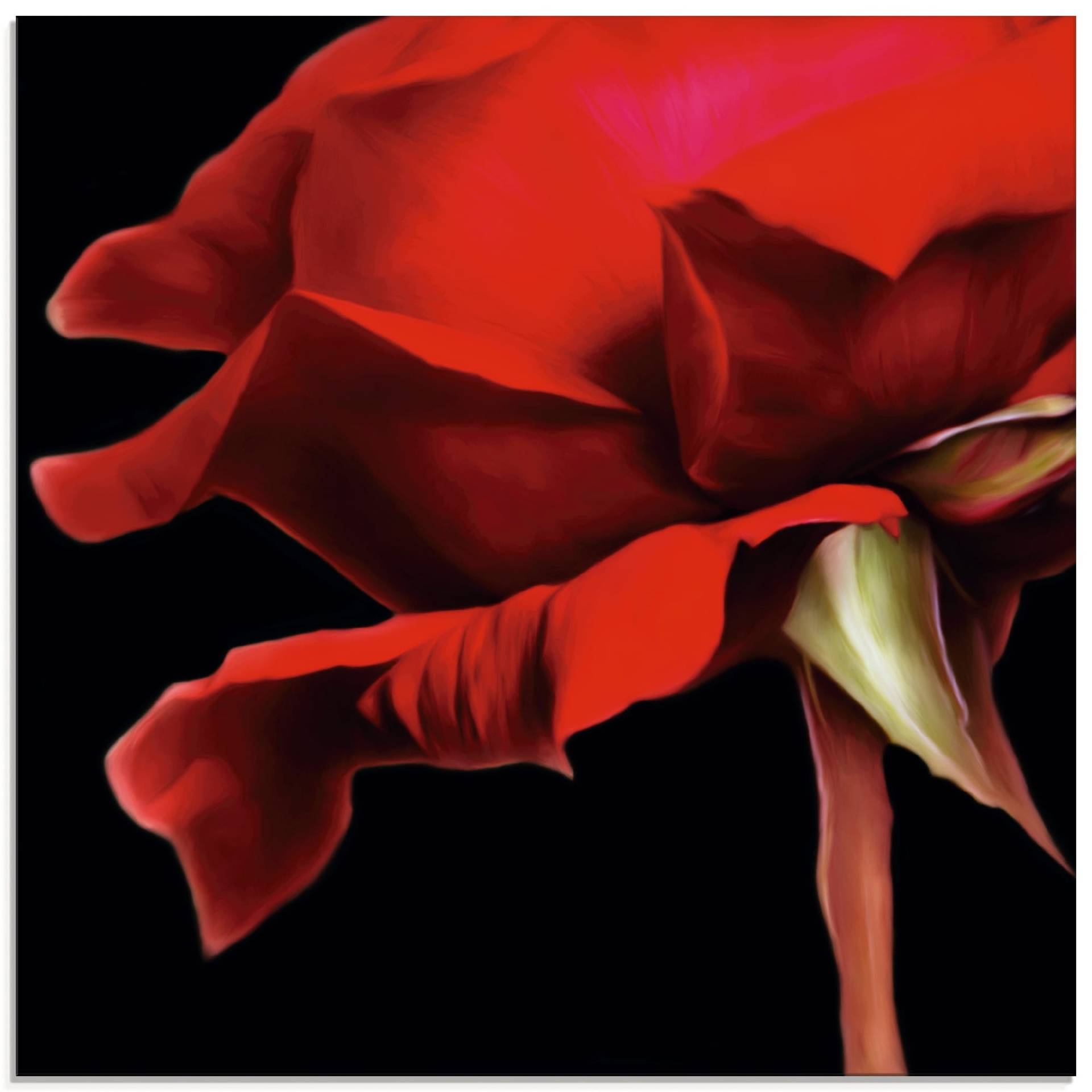 Artland Glasbild »Rote Rose«, Blumen, (1 St.) von Artland