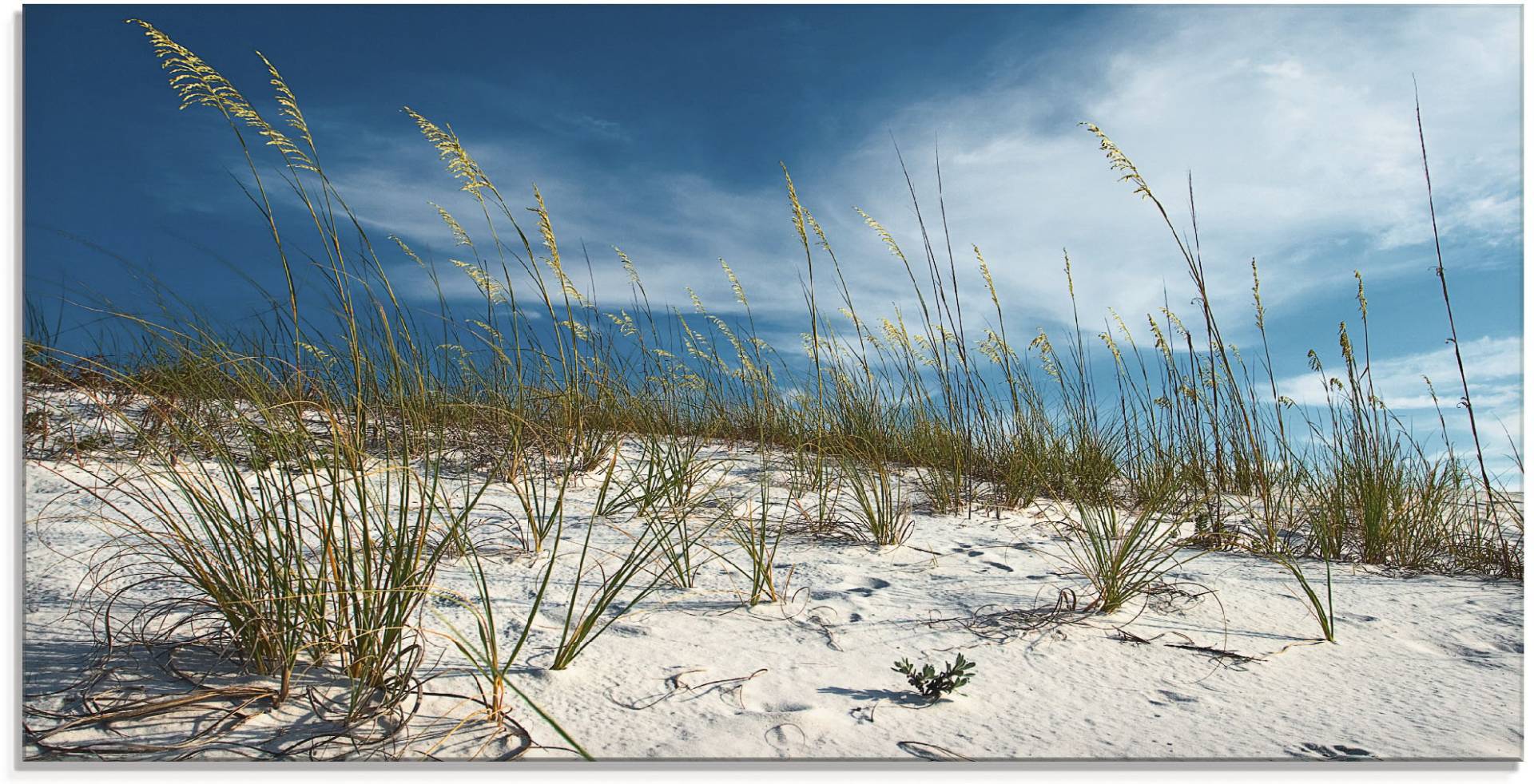 Artland Glasbild »Sanddüne und Gräser«, Strand, (1 St.) von Artland