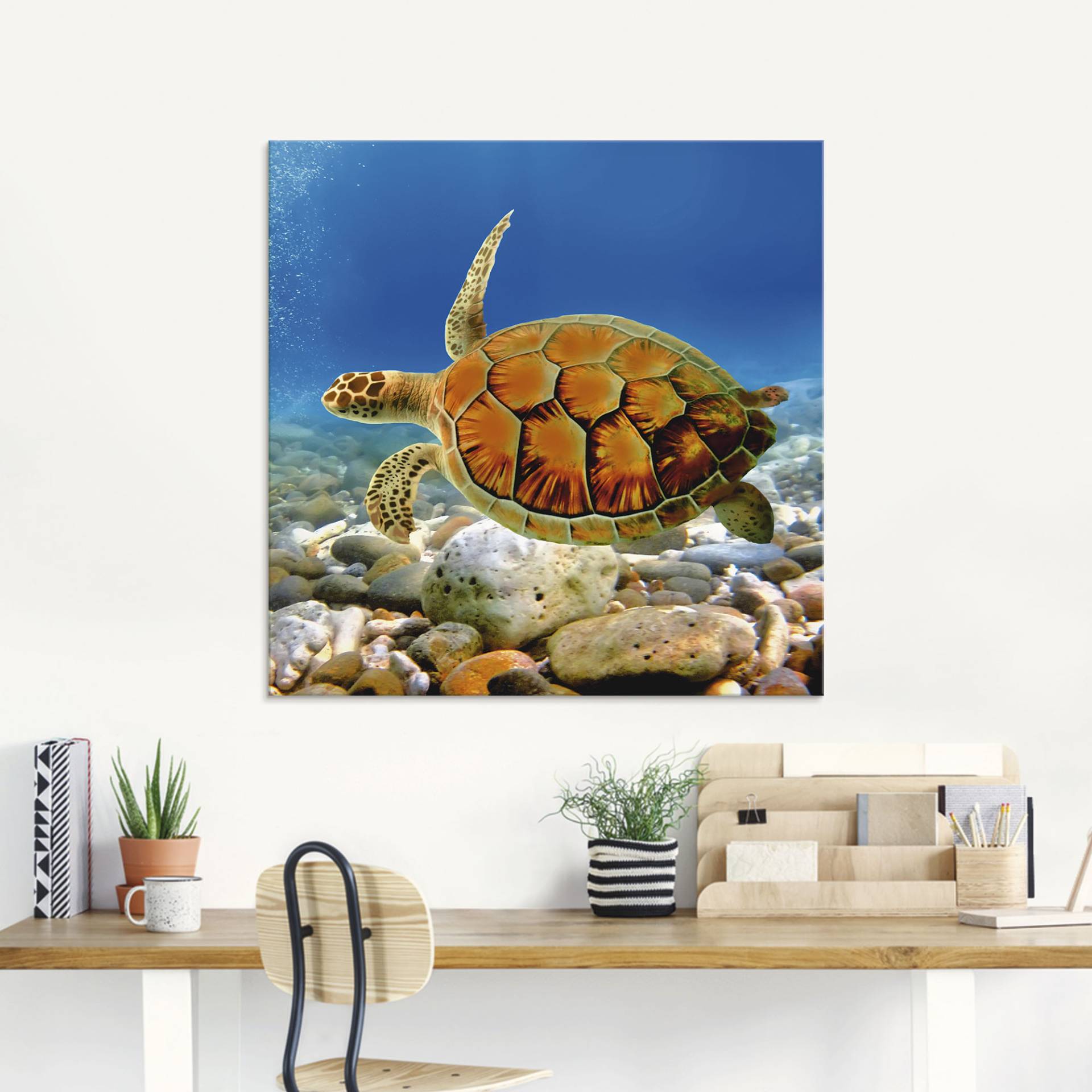 Artland Glasbild »Schildkröte«, Wassertiere, (1 St.), in verschiedenen Grössen Artland Glasbild »Schildkröte«, Wassertiere, (1 St.), in verschiedenen Grössen von Artland