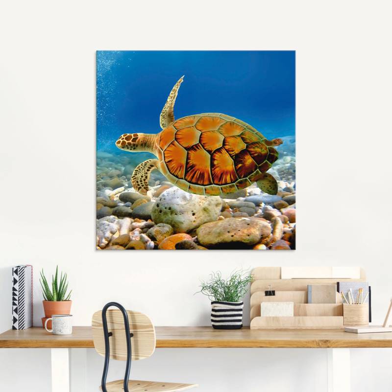 Artland Glasbild »Schildkröte«, Wassertiere, (1 St.), in verschiedenen Grössen von Artland