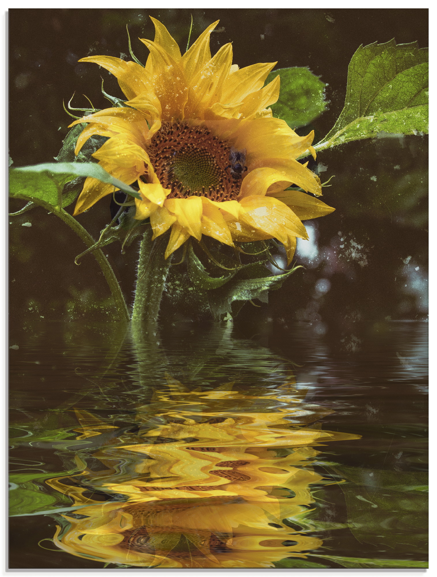 Artland Glasbild »Sonnenblume mit Wasserspiegelung«, Blumen, (1 St.) von Artland