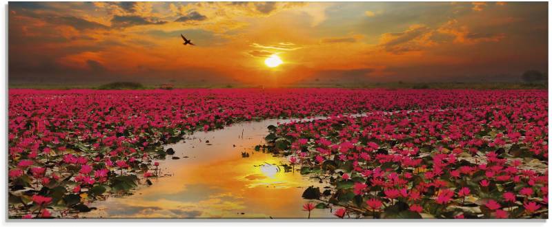 Artland Glasbild »Sonnenschein blühende Lotusblume«, Blumen, (1 St.) von Artland