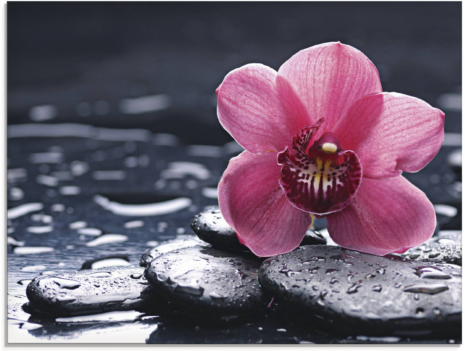 Artland Glasbild »Stillleben mit Kiesel und einer Orchidee«, Blumen, (1 St.) von Artland
