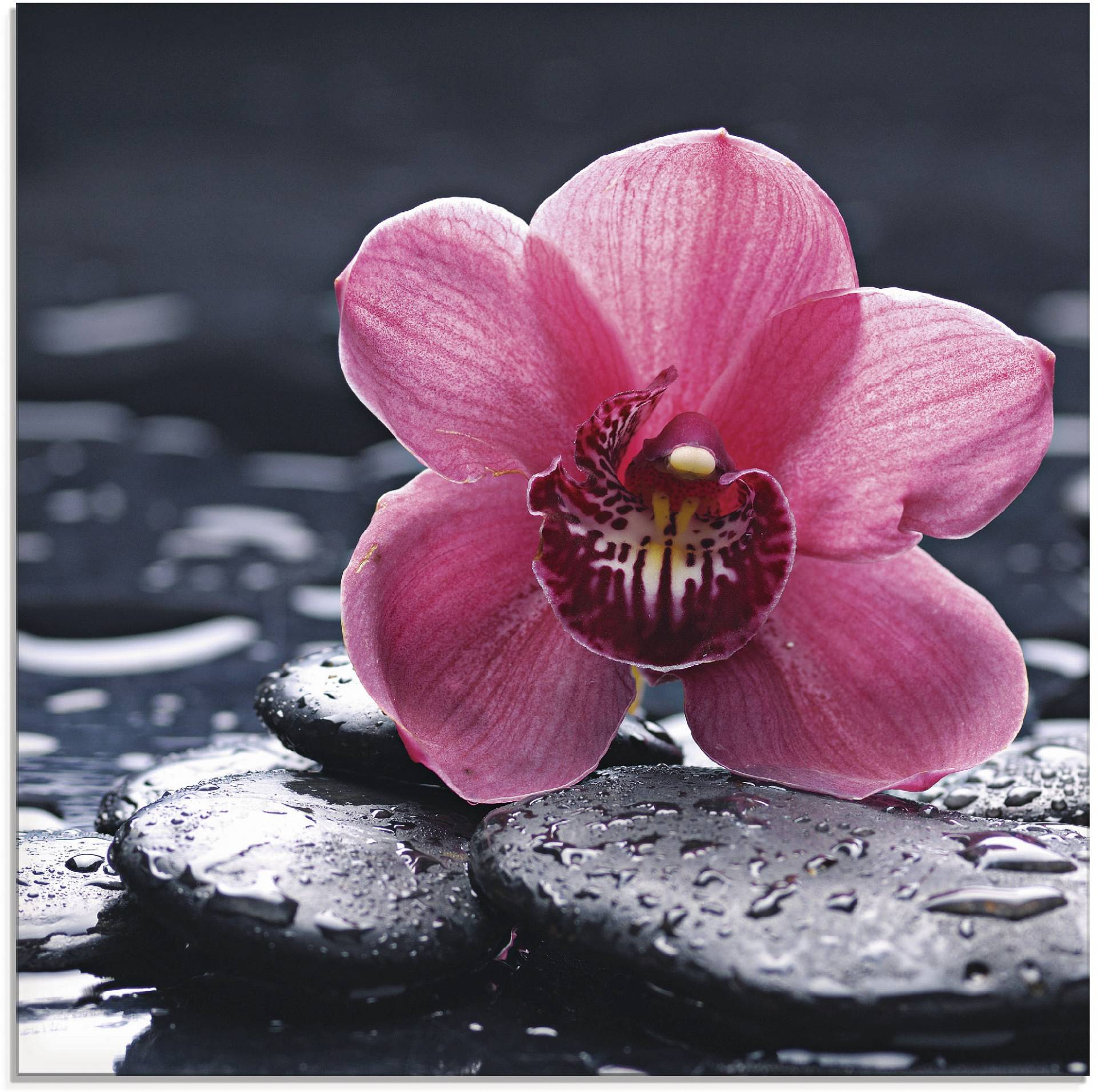 Artland Glasbild »Stillleben mit Kiesel und einer Orchidee«, Blumen, (1 St.) von Artland