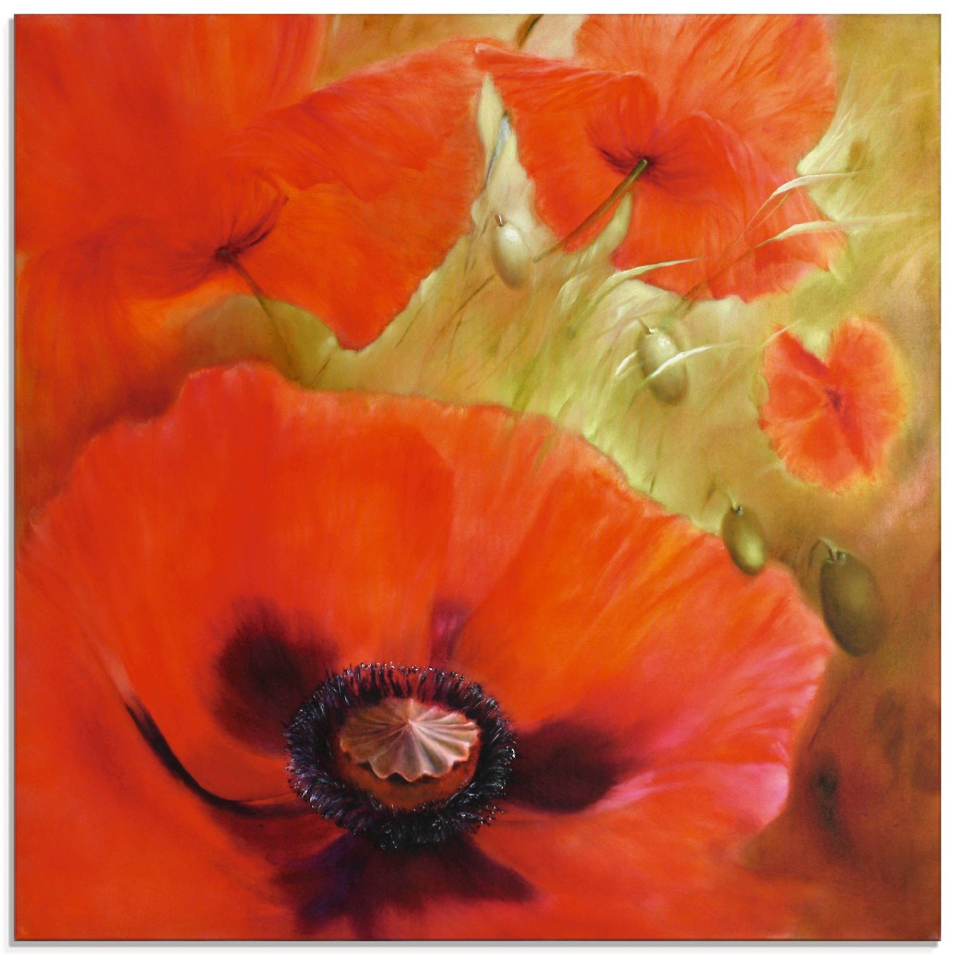 Artland Glasbild »Vier mal Mohn«, Blumen, (1 St.) von Artland