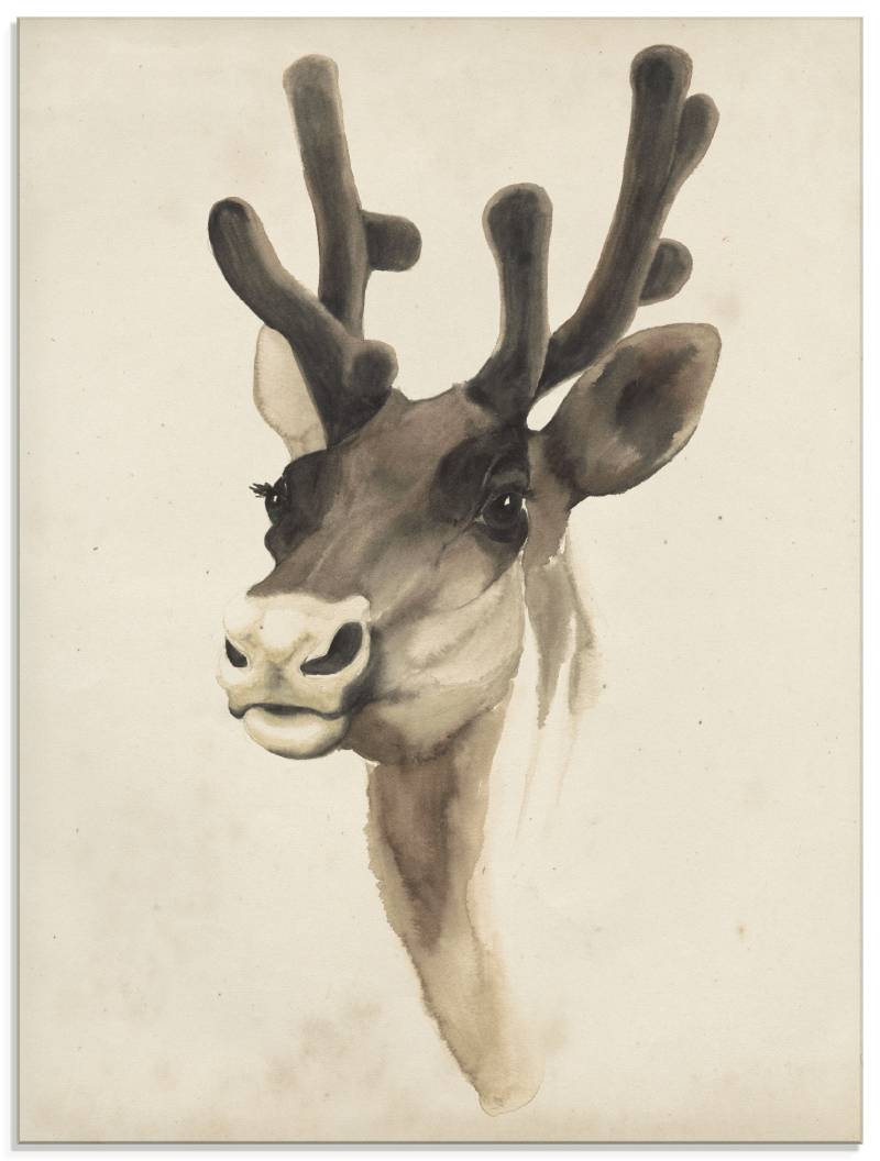 Artland Glasbild »Wasserfarben Tierlehre III«, Wildtiere, (1 St.), in verschiedenen Grössen von Artland