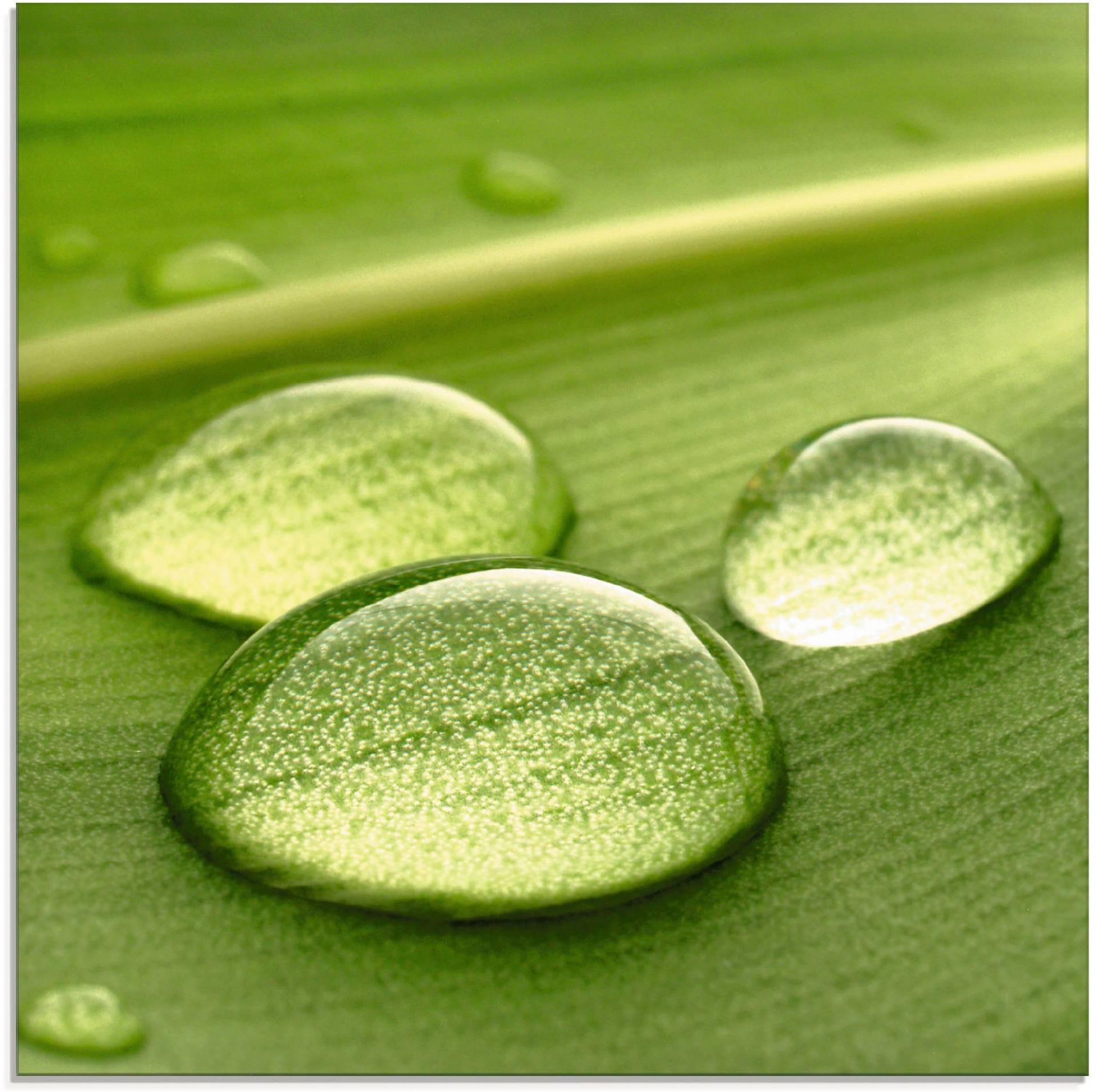 Artland Glasbild »Wassertropfen«, Zen, (1 St.), in verschiedenen Grössen Artland Glasbild »Wassertropfen«, Zen, (1 St.), in verschiedenen Grössen von Artland