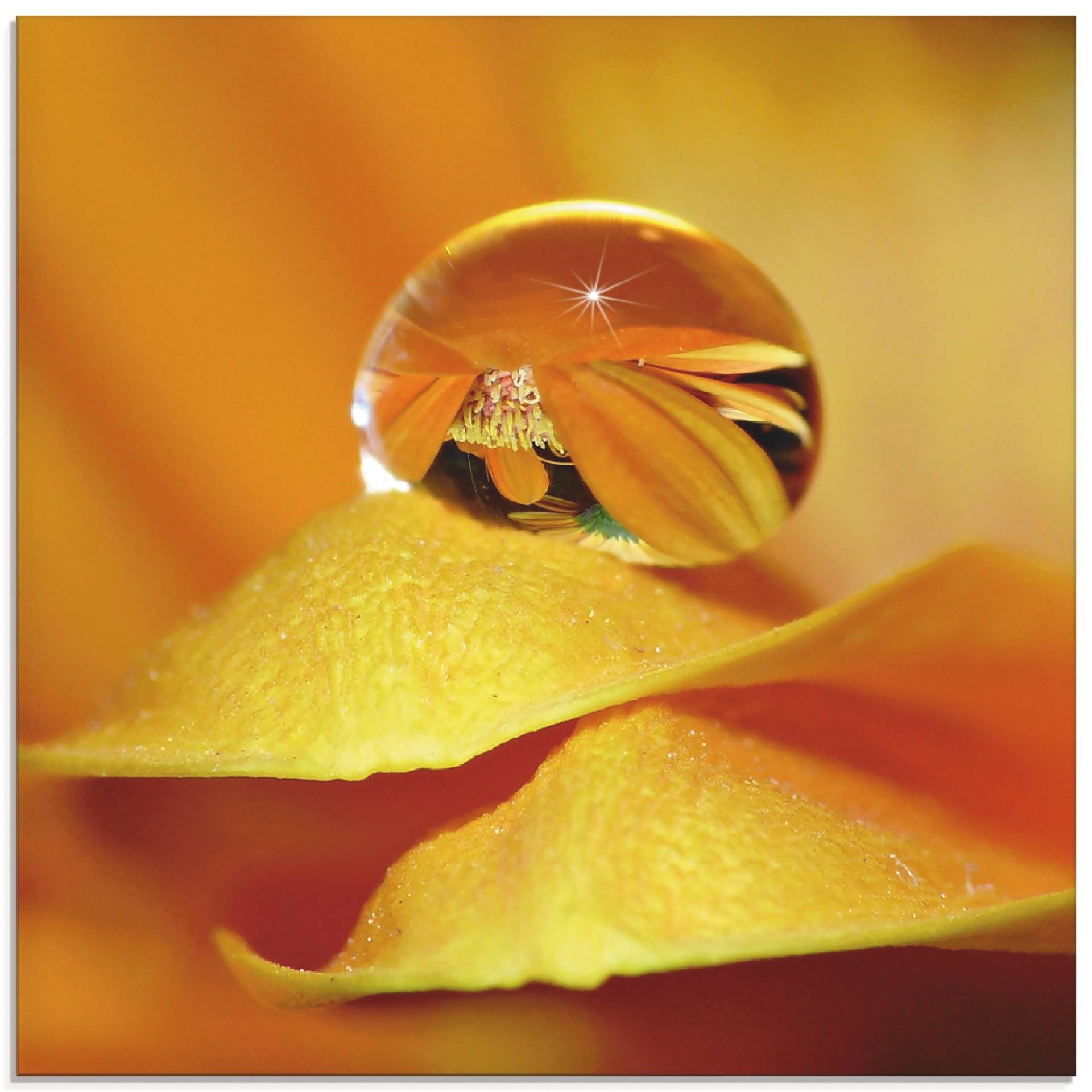 Artland Glasbild »Wassertropfen II«, Blätter, (1 St.), in verschiedenen Grössen von Artland
