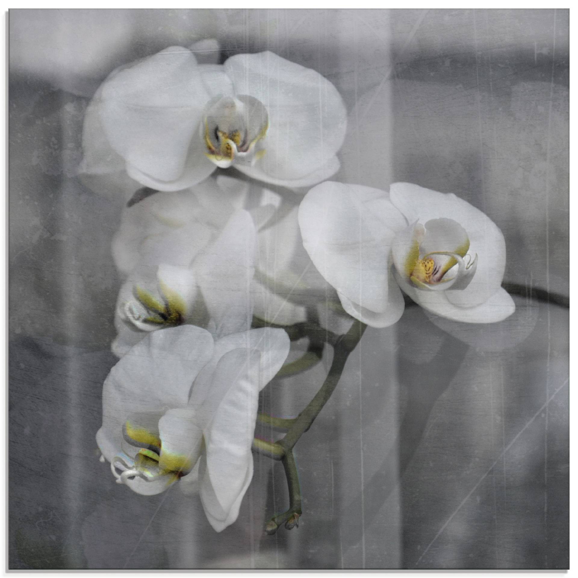 Artland Glasbild »Weisse Orchideen - white Orchid«, Blumen, (1 St.) von Artland