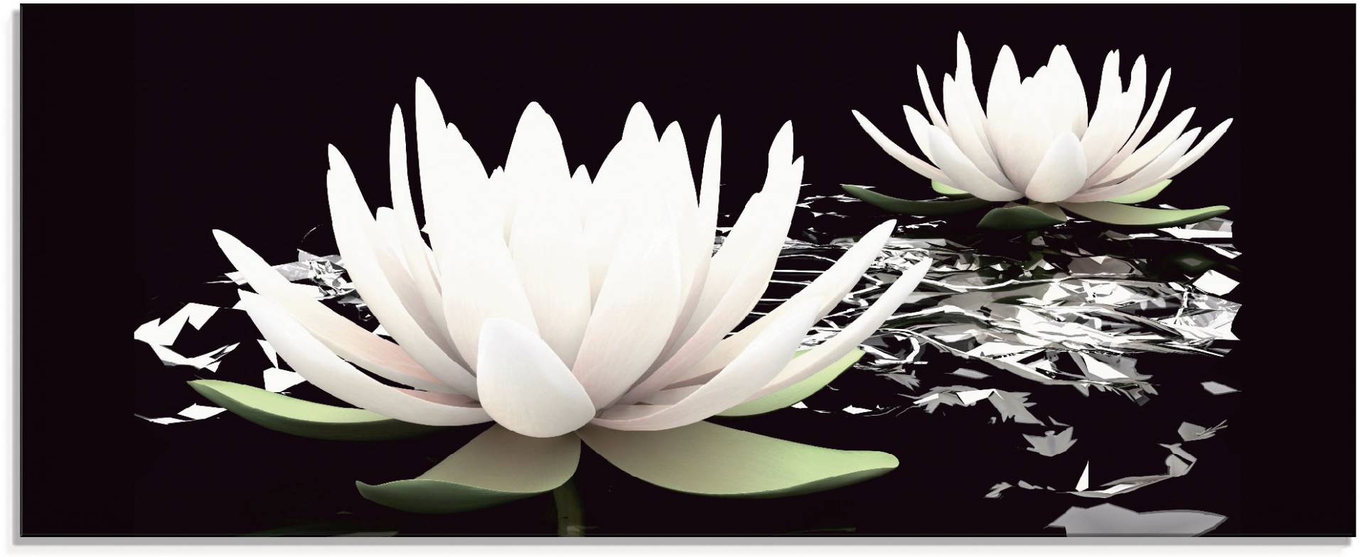 Artland Glasbild »Zwei Lotusblumen auf dem Wasser«, Blumen, (1 St.) von Artland