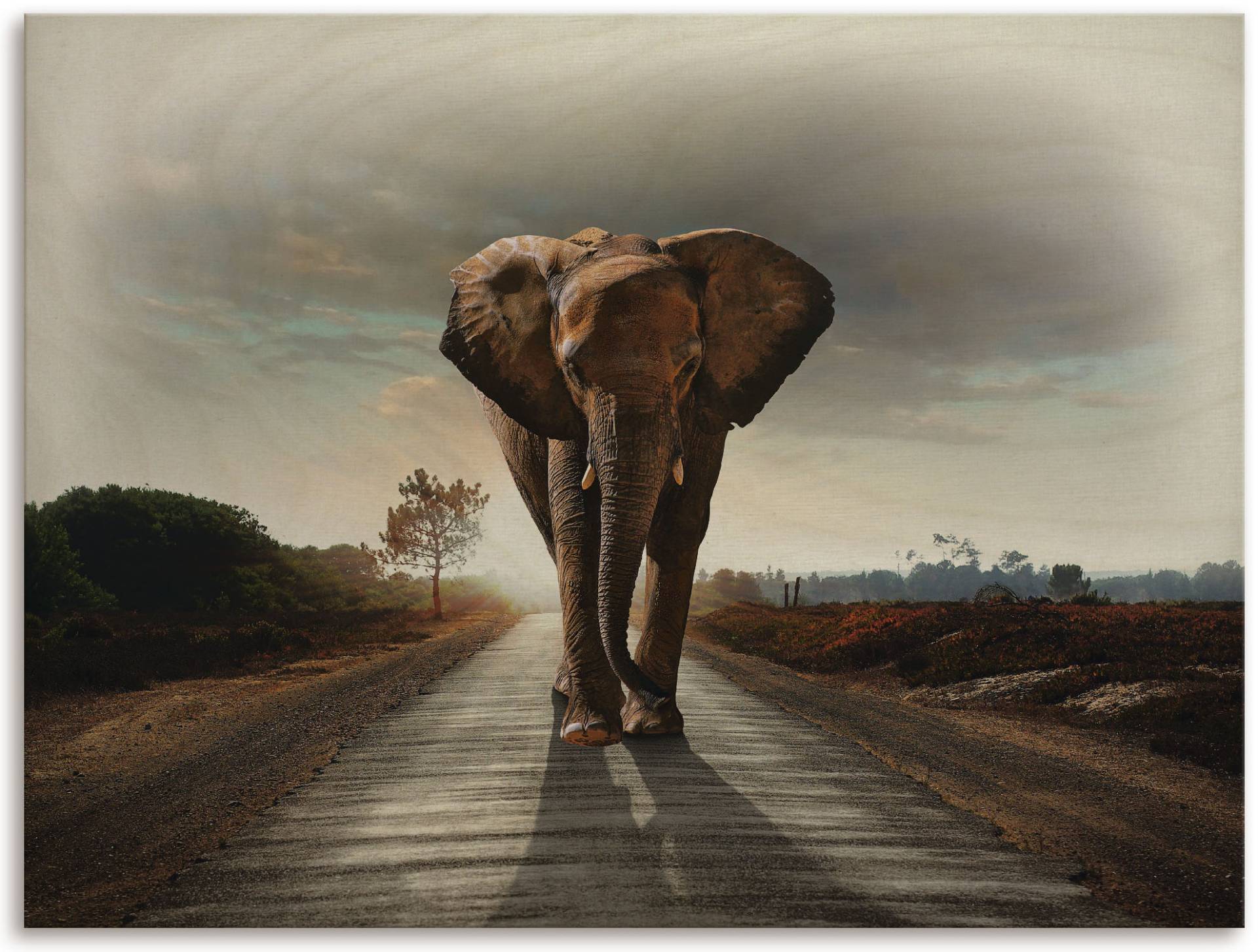 Artland Holzbild »Ein Elefant läuft auf der Strasse«, (1 St.) von Artland