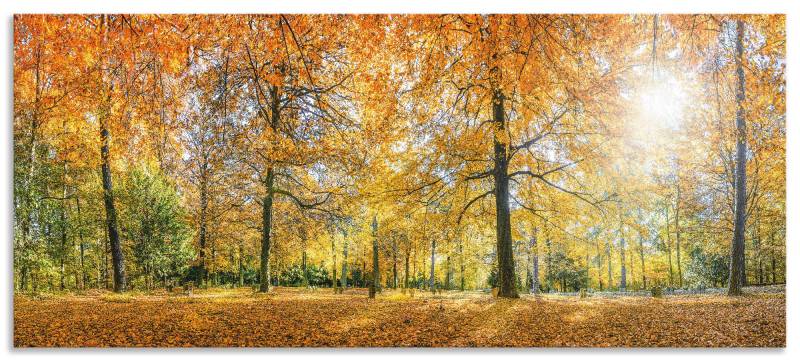 Artland Küchenrückwand »Herbstwald Panorama«, (1 tlg.), Alu Spritzschutz mit Klebeband, einfache Montage von Artland