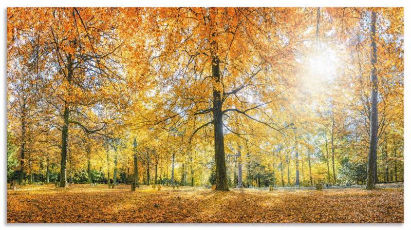 Artland Küchenrückwand »Herbstwald Panorama«, (1 tlg.), Alu Spritzschutz mit Klebeband, einfache Montage von Artland
