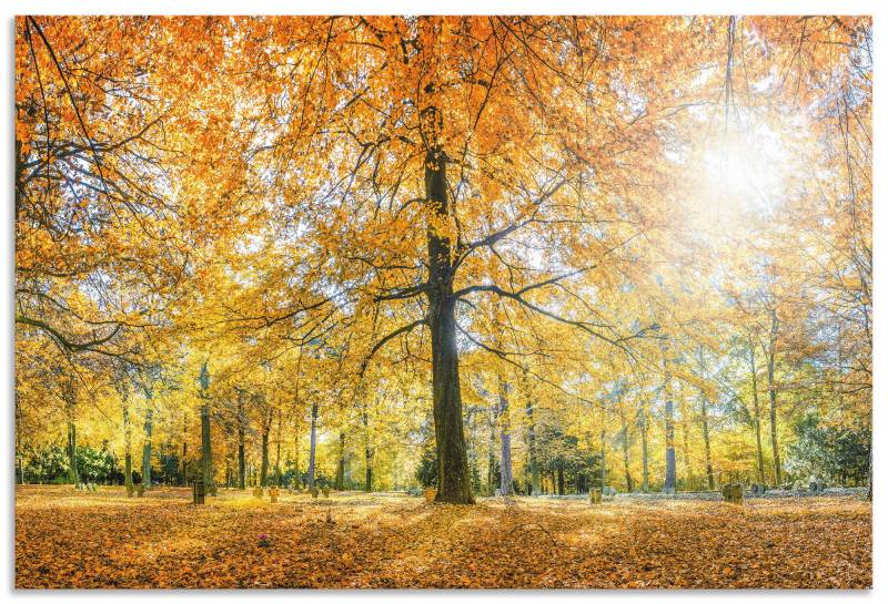 Artland Küchenrückwand »Herbstwald Panorama«, (1 tlg.), Alu Spritzschutz mit Klebeband, einfache Montage von Artland