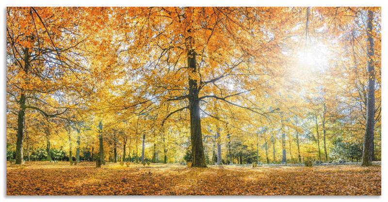 Artland Küchenrückwand »Herbstwald Panorama«, (1 tlg.), Alu Spritzschutz mit Klebeband, einfache Montage von Artland