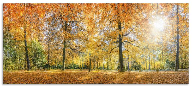 Artland Küchenrückwand »Herbstwald Panorama«, (1 tlg.), Alu Spritzschutz mit Klebeband, einfache Montage von Artland