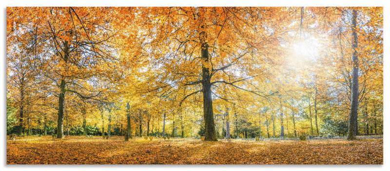 Artland Küchenrückwand »Herbstwald Panorama«, (1 tlg.), Alu Spritzschutz mit Klebeband, einfache Montage von Artland