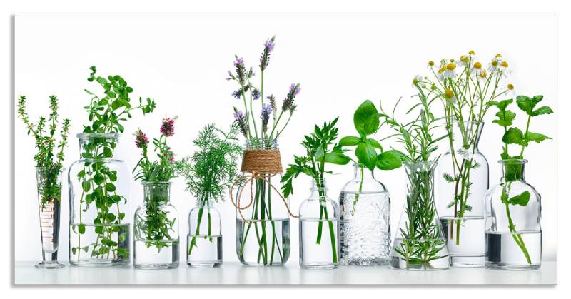 Artland Küchenrückwand »Öle mit Kräutern«, (1 tlg.), Alu Spritzschutz mit Klebeband, einfache Montage von Artland