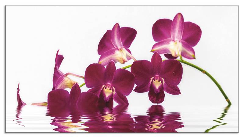 Artland Küchenrückwand »Phalaenopsis Orchidee«, (1 tlg.), Alu Spritzschutz mit Klebeband, einfache Montage von Artland