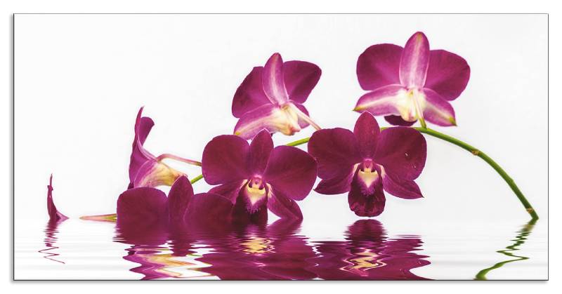 Artland Küchenrückwand »Phalaenopsis Orchidee«, (1 tlg.), Alu Spritzschutz mit Klebeband, einfache Montage von Artland