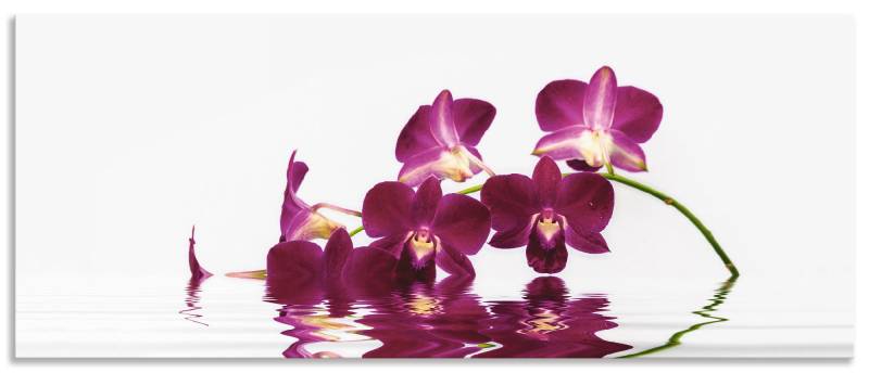 Artland Küchenrückwand »Phalaenopsis Orchidee«, (1 tlg.), Alu Spritzschutz mit Klebeband, einfache Montage von Artland